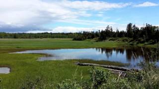 Fishing in Kenai Alaska  June 2015 [upl. by Sinnaoi]