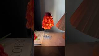 I picked some koelreuteria fruits and made a small table lamp for autumn [upl. by Inattyrb]