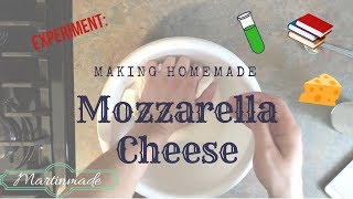 Making Homemade Mozzarella Cheese  EXPERIMENT  Recipe in description [upl. by Aztin]