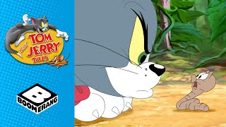 Tom amp Jerry  How many Jerrys  Boomerang UK [upl. by Anawqahs460]