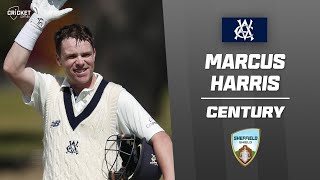 Harris dominates Tigers en route to seventh Junction Oval ton  Sheffield Shield 202425 [upl. by Naivat571]