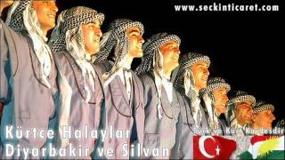 Diyarbakir Halay  Musto u Şilan GOWEND 1 2 [upl. by Eremahs]