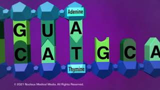 DNA and RNA  Transcription [upl. by Wivina]