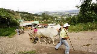 BOYEROS COSTA RICA [upl. by Leemaj]