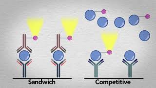 Quidel MicroVue Complement Multiplex Video [upl. by Venola]