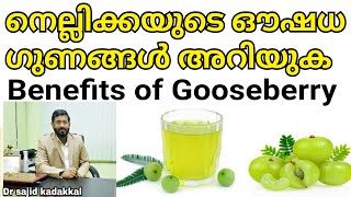 Benefits of Gooseberry നെല്ലിക്കയുടെ ഔഷധ ഗുണങ്ങൾ അറിയുക [upl. by Jaclin405]