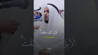 Beautiful Quran Recitation [upl. by Ginelle]