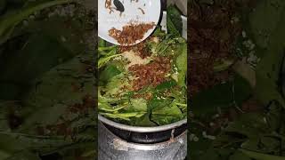 Filipino ADOBONG KANGKONG PINOY YUMMY RECIPE Filipino simple meal [upl. by Hege612]