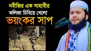 নবীজির এক সাহাবীর কলিজা চিবিয়ে খেলো ভয়ংকর সাপফয়সাল আহমেদ হেলালীfoysal ahmed helali 01743190005 [upl. by Delahk]