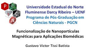 Funcionalização de Nanopartículas Magnéticas para Aplicações Biomédicas [upl. by Hirasuna676]