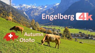 🇨🇭 SWITZERLAND  ENGELBERG  Walking Tour beautiful villages  hermosos pueblos  4k [upl. by Zelde]