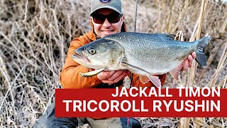 Jackall Timon Tricoroll Ryushin Воблеры для ловли форели голавля жереха на течении [upl. by Gerlac818]