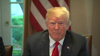 Trump Doubles Down on MS13 Animals Remark [upl. by Koch597]