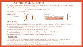 Lec 21 La Competencia Funcional umh1434 201516 [upl. by Dana]