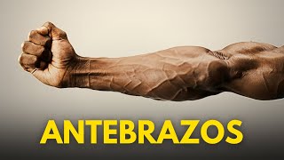 4 EJERCICIOS DE ANTEBRAZO QUE DEBES HACER [upl. by Comfort432]