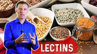 Lectins and Autoimmune Conditions [upl. by Woermer]