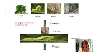 Samenvatting Ecologie amp Duurzaamheid 2MHV Biologie Voor Jou MAX [upl. by Resarf]