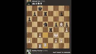 Bobby Fischer vs Mikhail Tal  Tournament Candidates 1962 [upl. by Ximena789]