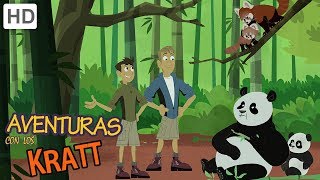 Aventuras con los Kratt  ¡Superhéroe de la Fauna [upl. by Gypsie586]