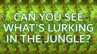 Stereogram Challenge 22  Whats Lurking in the Jungle [upl. by Garda3]