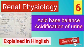 Acid base balancerenal acidification of urinerenal physiologymbbs [upl. by Atirma]