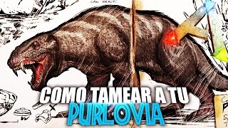 COMO TAMEAR A TU PURLOVIA  Guia Español  Ark Survival Evolved [upl. by Augy295]