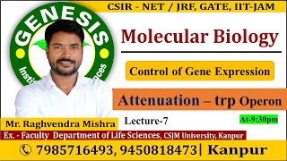 Attenuation  Trp operon  Gene Regulation Lecture7  CSIR NETJRF  Life science [upl. by Sobel761]