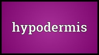 Hypodermis Meaning [upl. by Christmann504]