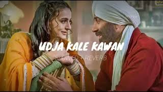 Udja Kale Kawan  slowedreverb  Gadar 2  sunny deol  lofi [upl. by Boorer]