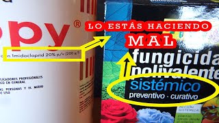 LOS FITOSANITARIOS  Tratamientos preventivos y curativos [upl. by Novaat]