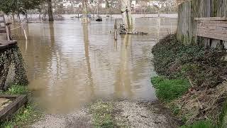 Wheeling WV Flooding on the Ohio River [upl. by Aniras]