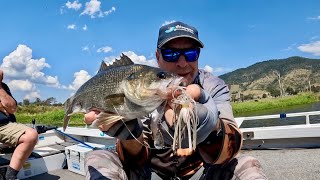 PTP Fishing  Somerset dam fishing fun  Part 2 [upl. by Rockie]