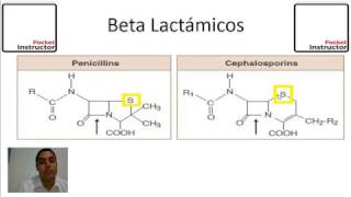 Como funciona la penicilina Pocket Instructor [upl. by Onitnas603]