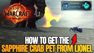 How to get the Sapphire Crab Pet  World of Warcraft The War Within [upl. by Mortensen]