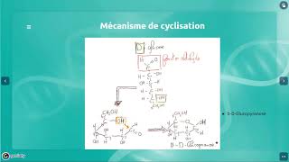 Biochimie structurale des glucides partie 1 oses et dérivés [upl. by Kcirdahc505]