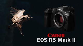 Fotografía de FAUNA con Canon EOS R5 Mark II ¿Merece la pena el cambio de cámara desde R5 [upl. by Albers]