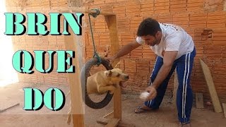 Fazendo e Testando Brinquedo para cães Pulando por Dentro do Pneu [upl. by Ellebyam306]