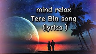 TERE BIN song lyrics rahat fateh ali khan Tanishk Bagchi  text auido song mind relax lofi [upl. by Notnroht457]