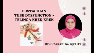 EUSTACHIAN TUBE DYSFUNCTION  TELINGA KREK KREK  DrTYohanita SpTHT [upl. by Laeahcim]