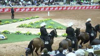 DIAMANTE CAOTICO DE SALEM PRIMER PUESTO CAMPEONATO JOVEN TROCHA COLOMBIANA EXPOORIENTE GRADO A 2024 [upl. by Aicele478]