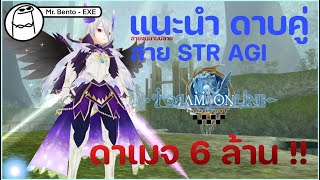 Toram Online  แจกบิลดาบคู่ สาย STR AGI [upl. by Joaquin657]