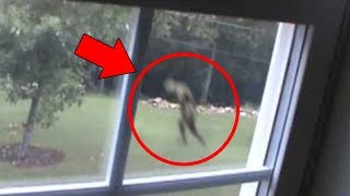 5 Mysterious Creatures Caught on Tape  Top 5 STRANGE Creatures [upl. by Krasnoff]