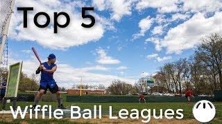 Top 5 Wiffle Ball Leagues [upl. by Ecnedurp453]