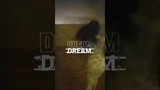 DREAM [upl. by Garris30]