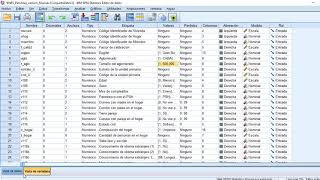 Introducción al SPSS 4 Filtrar y ponderar bases de datos [upl. by Morita]