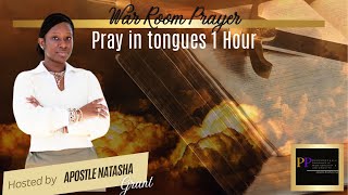 PRAY IN TONGUES 1 HOUR  WELCOMING FIRE  INTERCESSION WARFARE  KYLELOVETT  APOSTLE NATASHA [upl. by Avis]