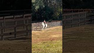 Moved barns again not this place this is my cousins barrel pony from last week [upl. by Lered]