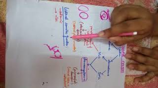 Simplest explanation of Muscle development in EMBRYOLOGY [upl. by Annahoj]