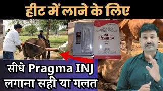 हीट में लाने के लिए सीधे Pragma INJ लगाना सही या गलत pragma injection veterinary uses in hindi [upl. by Brackely]