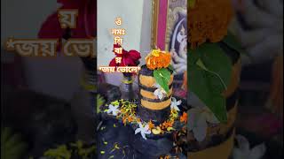 Ohm Namah Shivay shivshankar shiba bholenath puja bholenath jatadhari jatadhari [upl. by Bluefarb654]